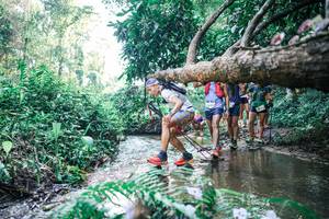 BIB: 
                            <button type="button" onclick="openModal(25444705)" class="btn btn-primary btn-sm float-right btn-popup" data-toggle="modal" data-target=".modal-high-quality">
                        <i class="fas fa-shopping-cart"></i> Add to Cart
                    </button>
                                            <button type="button" onclick="isThisMe(25444705, true)" class="btn btn-success btn-sm float-right btn-popup btn-isme hidden" data-toggle="tooltip" data-placement="bottom" title="นี่คือรูปของคุณใช่ไหม คลิกที่นี่เพื่อเอาเข้าอัลบั้ม">
                        <i class="fas fa-plus"></i> Add to album
                    </button>
                    <button type="button" onclick="isThisMe(25444705, false)" class="btn btn-warning btn-sm float-right btn-popup btn-isnotme hidden">
                        <i class="fas fa-ban"></i> Remove from album
                    </button>